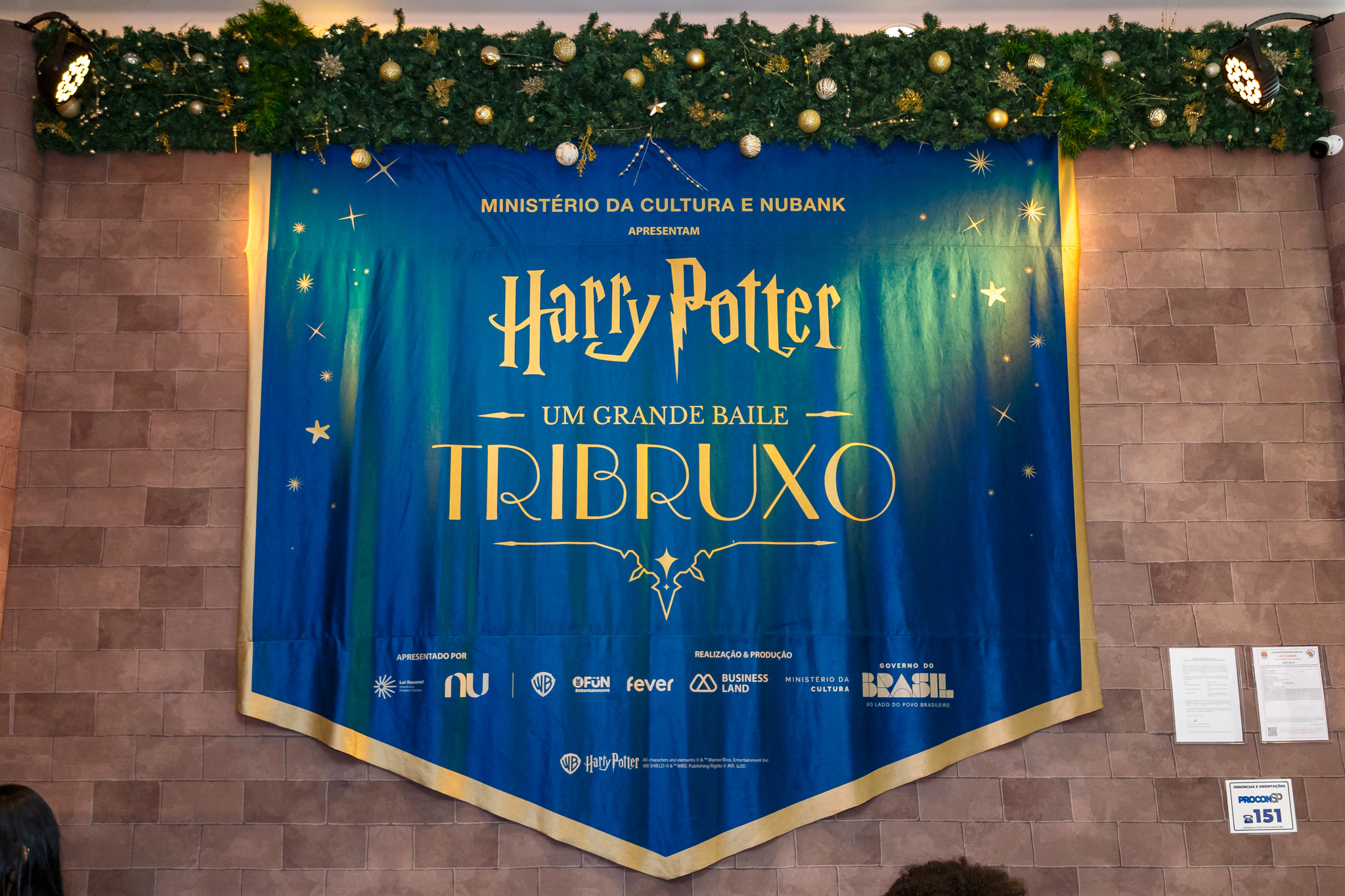 BUSINESSLAND - HARRY POTTER UM GRANDE BAILE TRIBRUXO-3