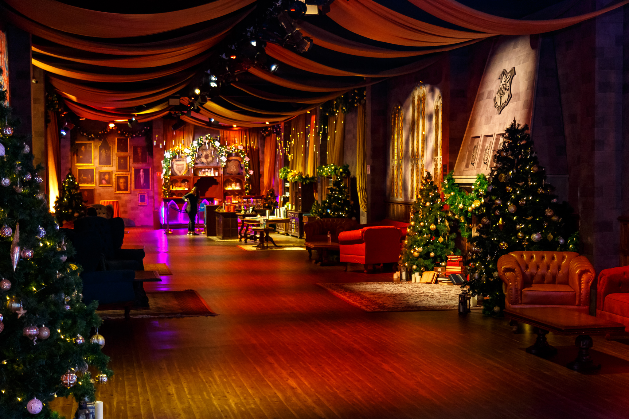 BUSINESSLAND - HARRY POTTER UM GRANDE BAILE TRIBRUXO-8